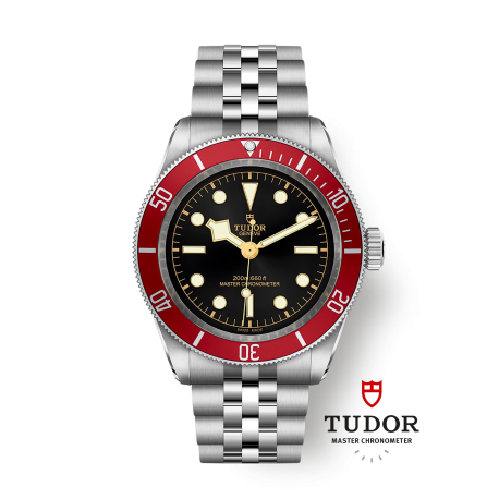 TUDOR WATCH BLACK BAY 41mm